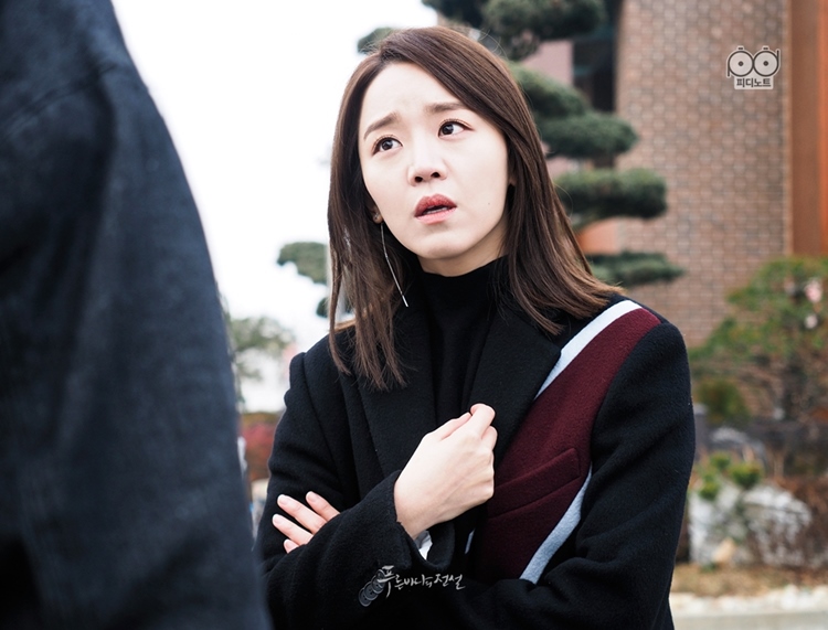 Shin Hye Sun sebagai Seo Jin Ahn
