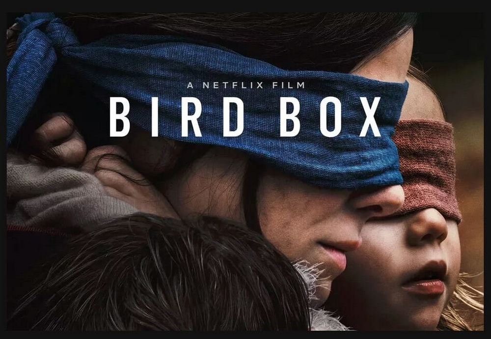 bird box
