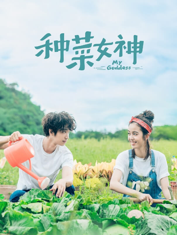 MY GODDESS – Drama Kisah Pertemuan Penyanyi Kota dan Kembang Desa