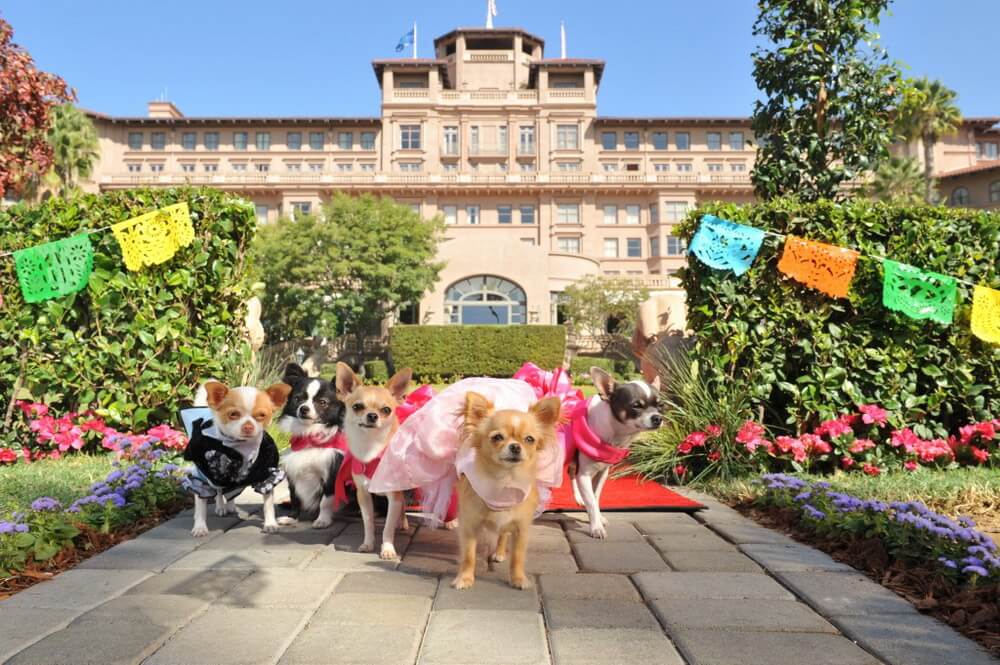Inilah Yang Akan Tayang Di Netflix Pada Bulan Februari Nanti – Simak Daftarnya!