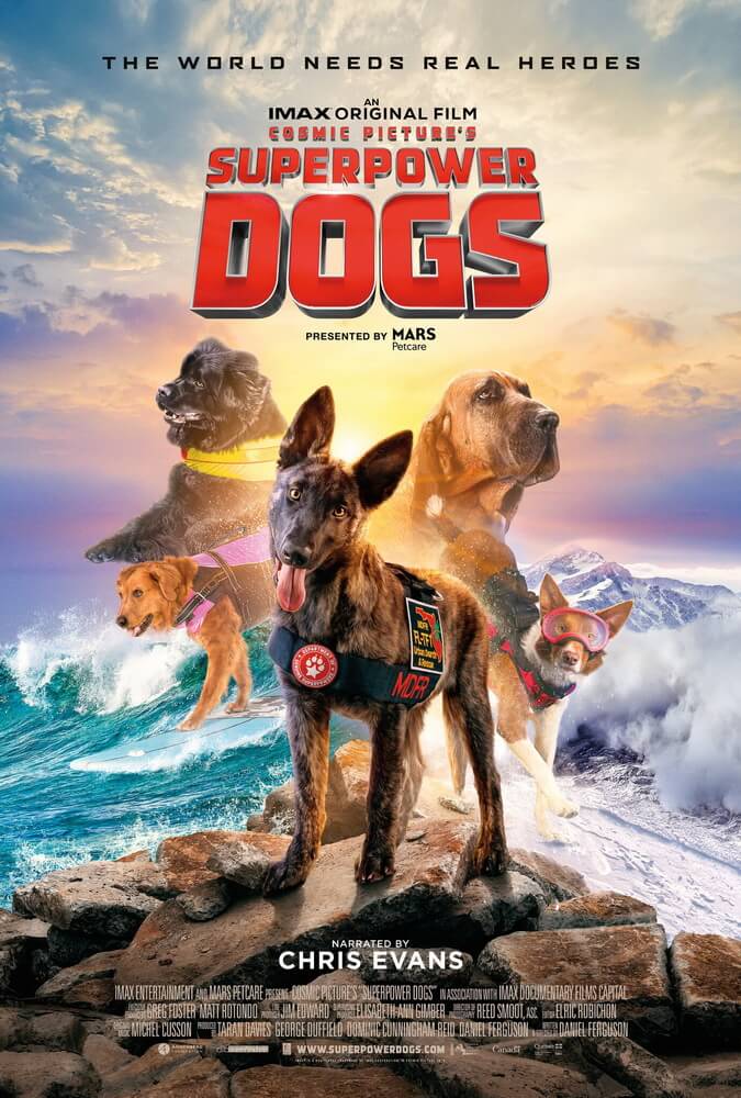 Bintang Avengers - Chris Evan Jadi Narator Film Dokumenter SUPERPOWER DOGS