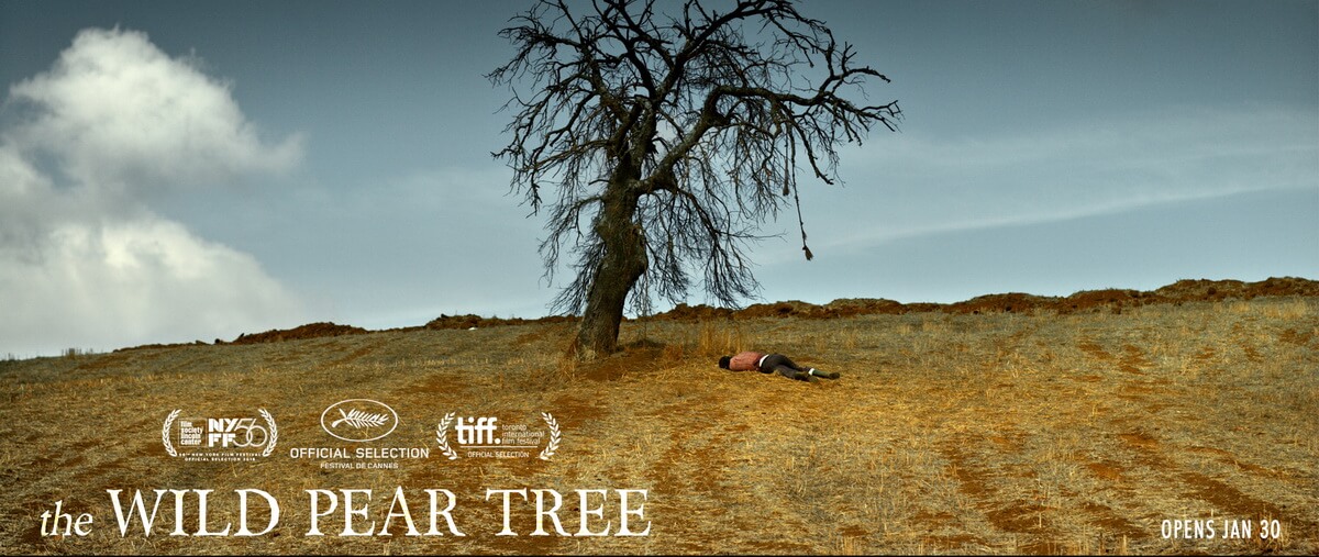 THE WILD PEAR TREE – Film Drama Penuh Lirik Humanis Antara Ayah Dan Anak