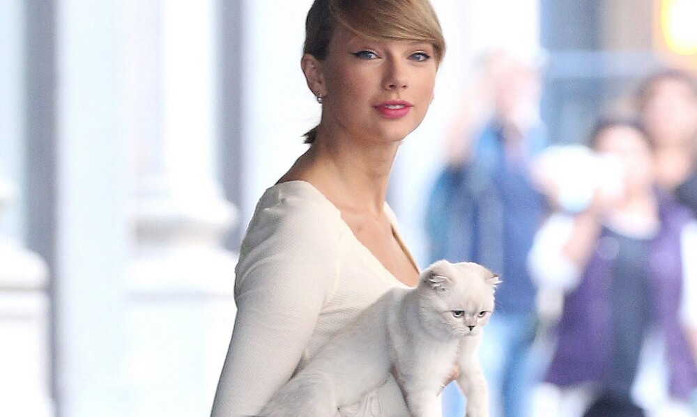 Taylor Swift Tampil Menggoda Dalam Film Musikal 'Cats'