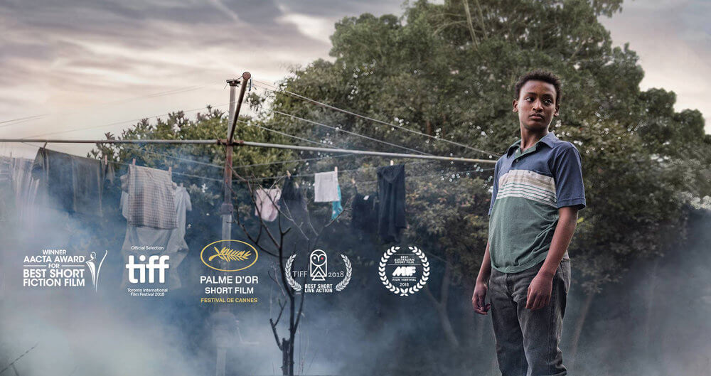 Film Parasite, Kembali Jawara di Festival Film Sydney