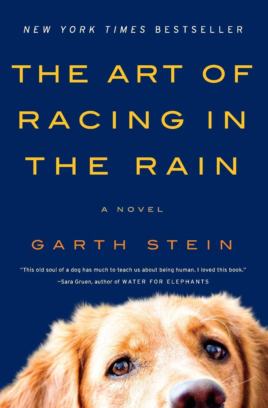 Novel Garth Stein