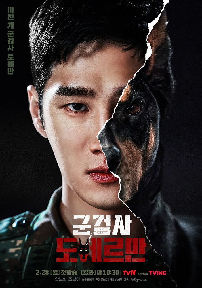 Ahn Bo Hyun