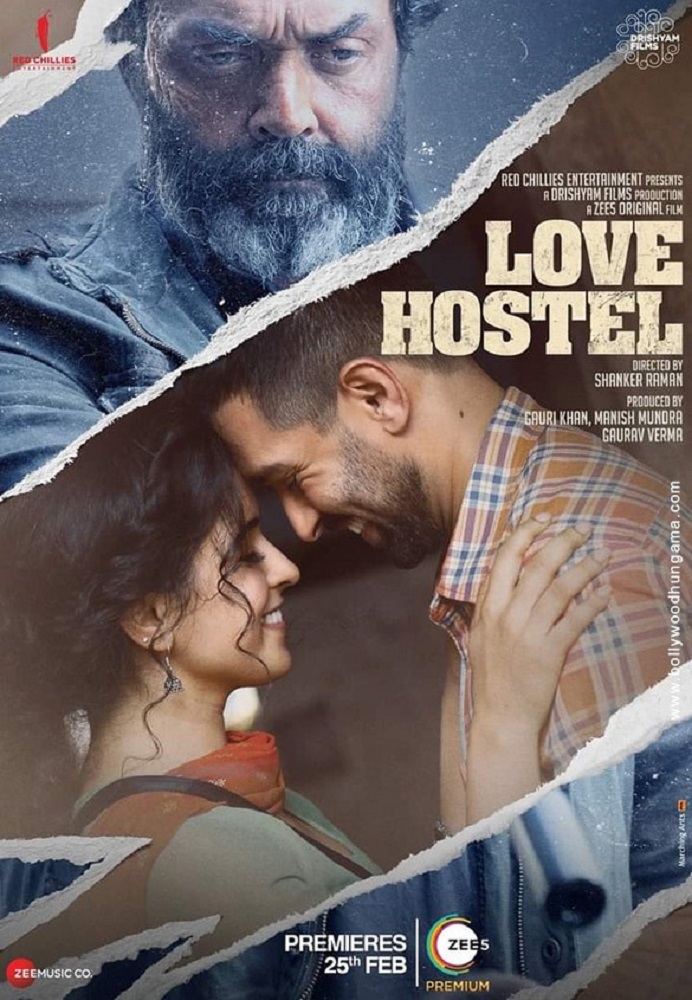 Love-Hostel Poster