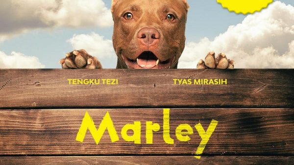 poster film marley