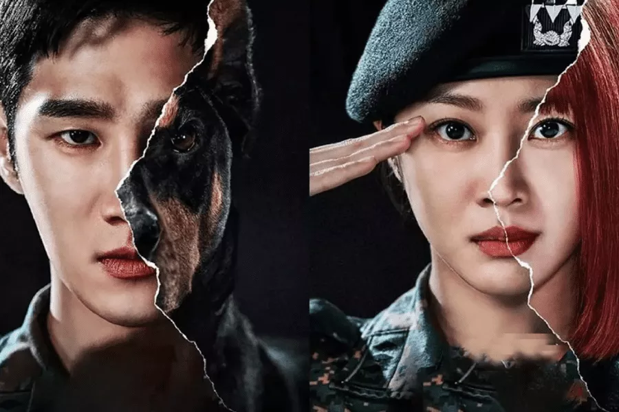 Military Prosecutor Doberman - Do Bae Man dan Cha Woo In
