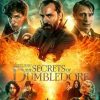 Fantastic Beast: The Secret Of Dumbledore