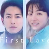 sinopsis first love