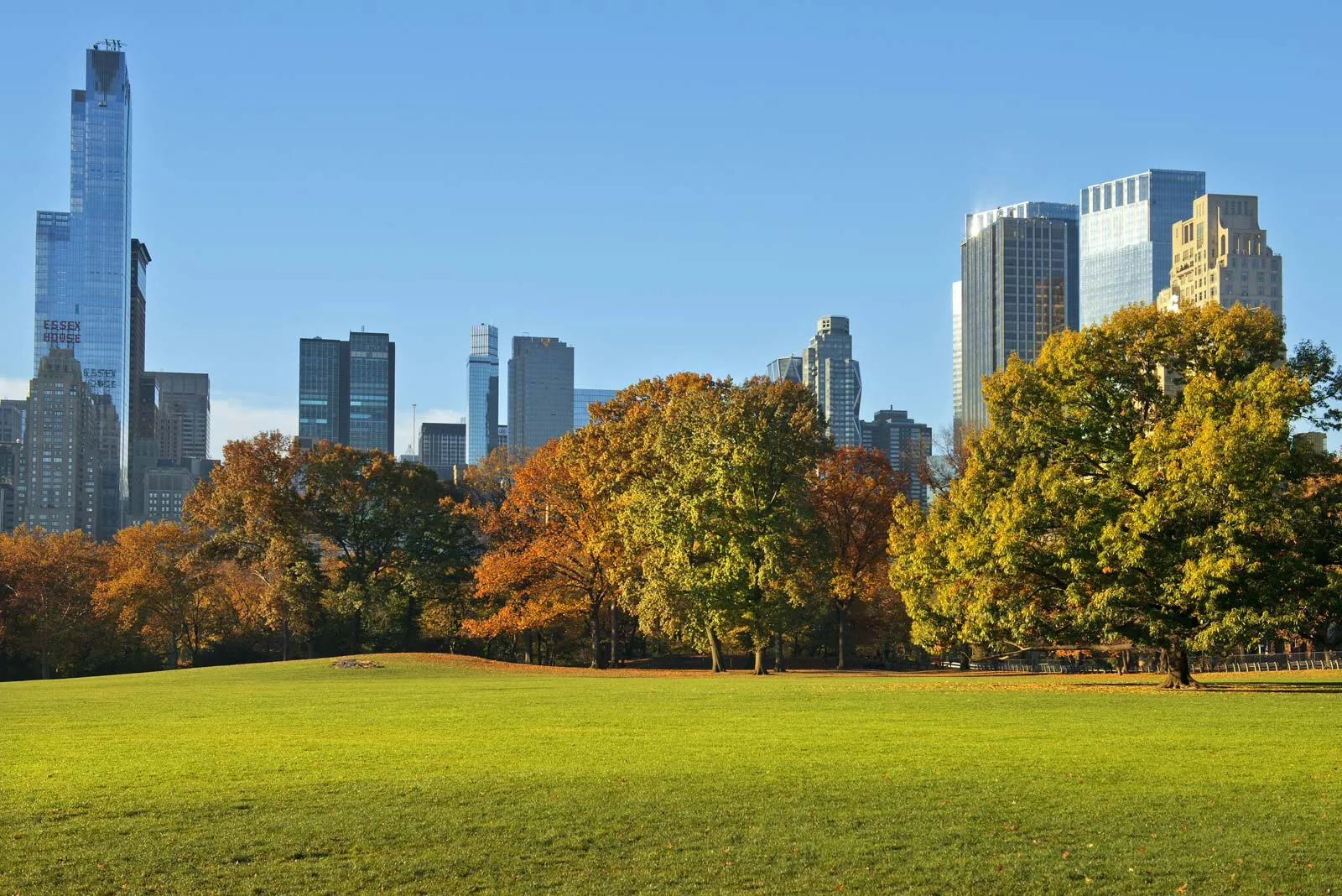 Central Park 