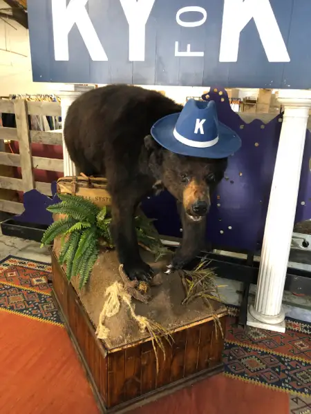 cocaine bear di Kentucky Fun Mall