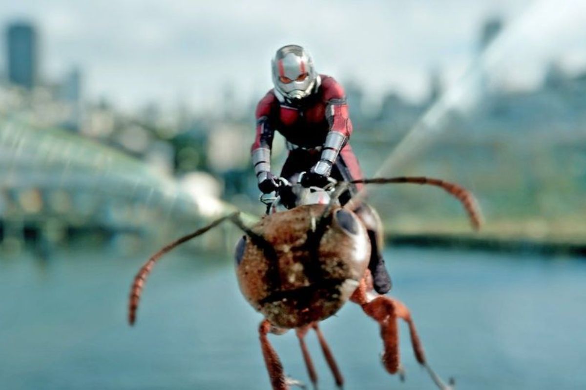Siap Tayang, Simak 5 Kemampuan Pahlawan Kecil Ant-Man