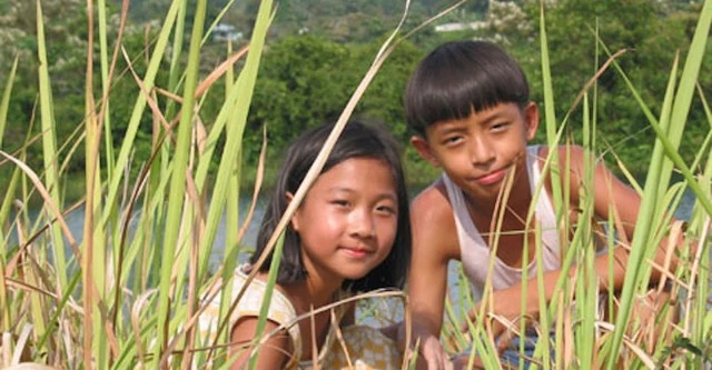 Sinopsis Homerun (2003)