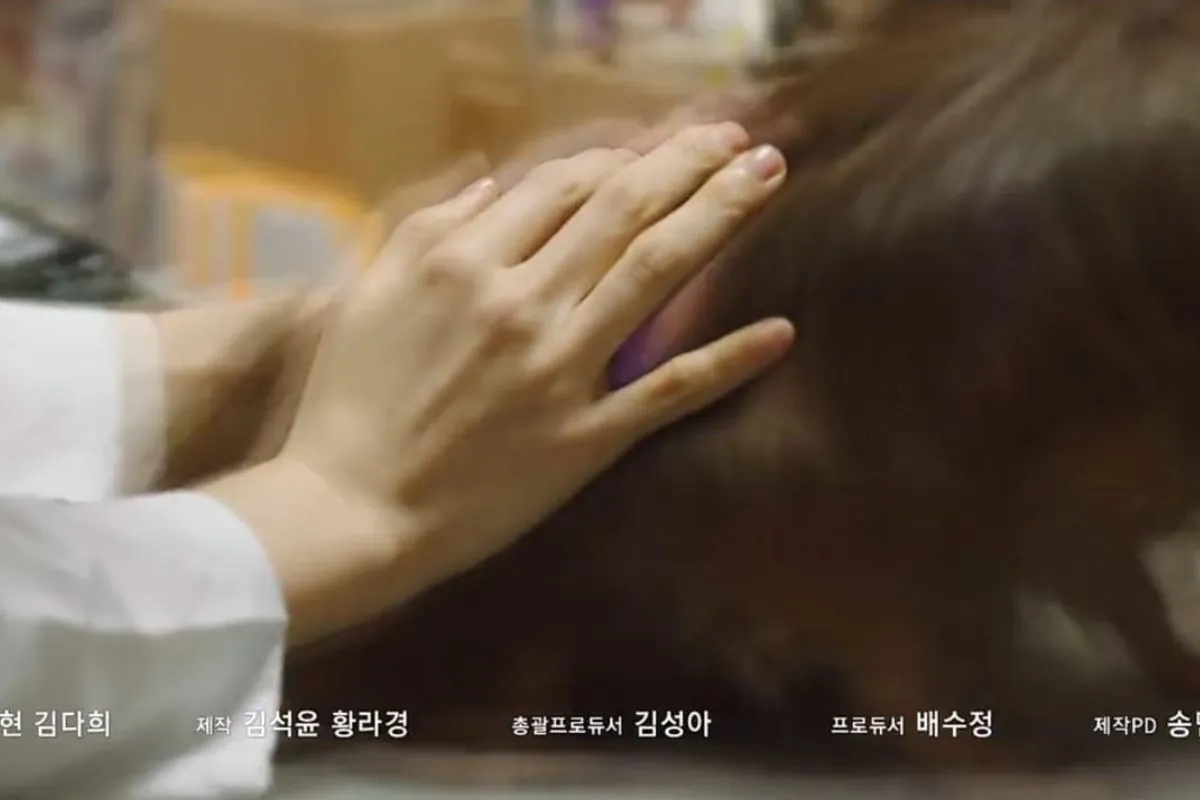 Sinopsis Behind Your Touch Episode 2 - Kedatangan Sun Woo 