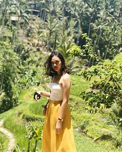Toba Dreams