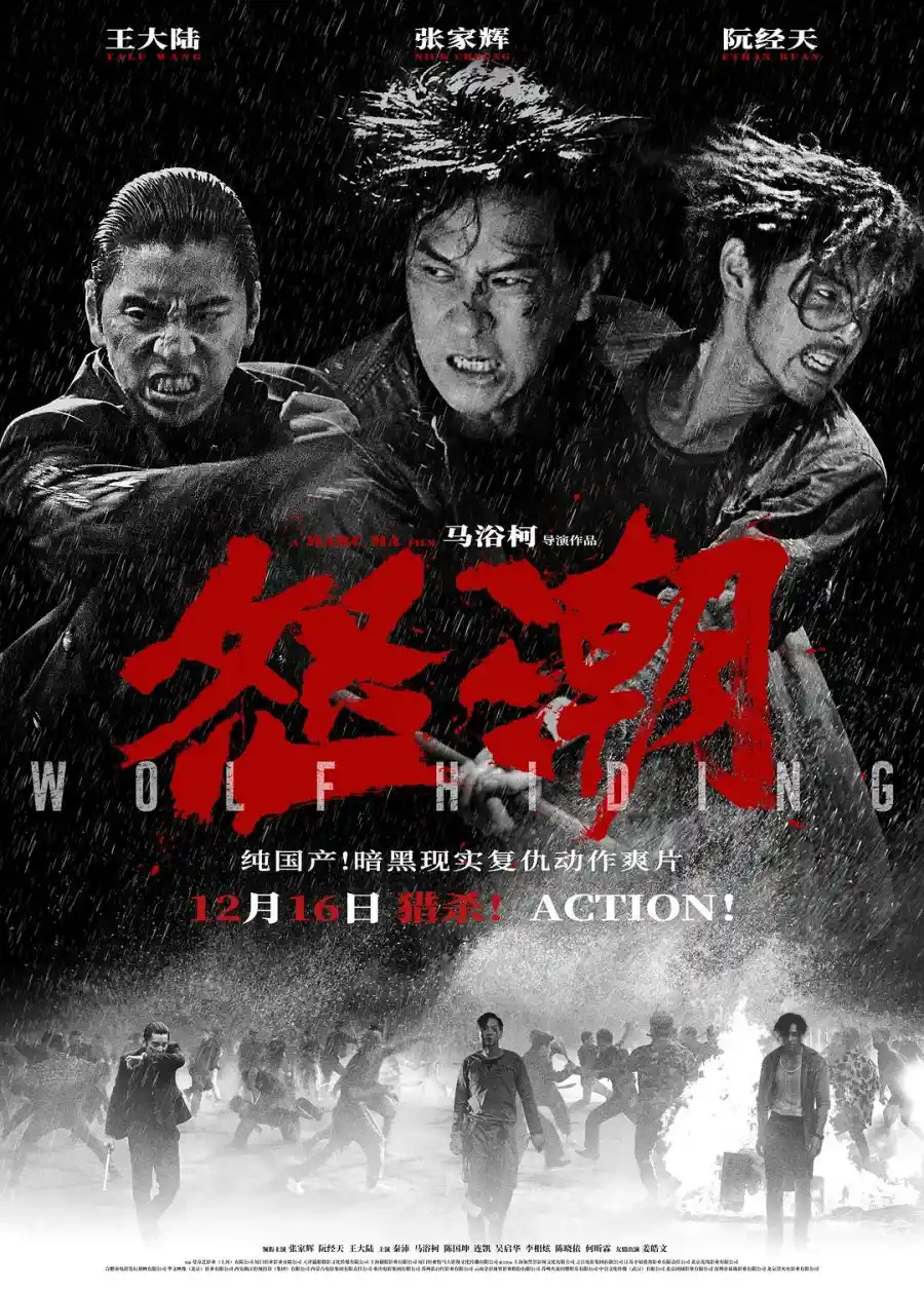 Poster film Wolf Hiding