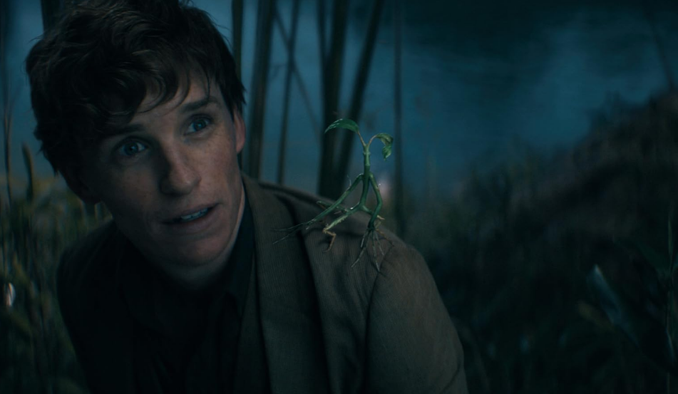 Fantastic Beasts: Secrets of Dumbledore
