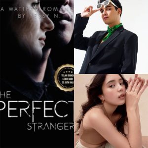  The Perfect Stranger