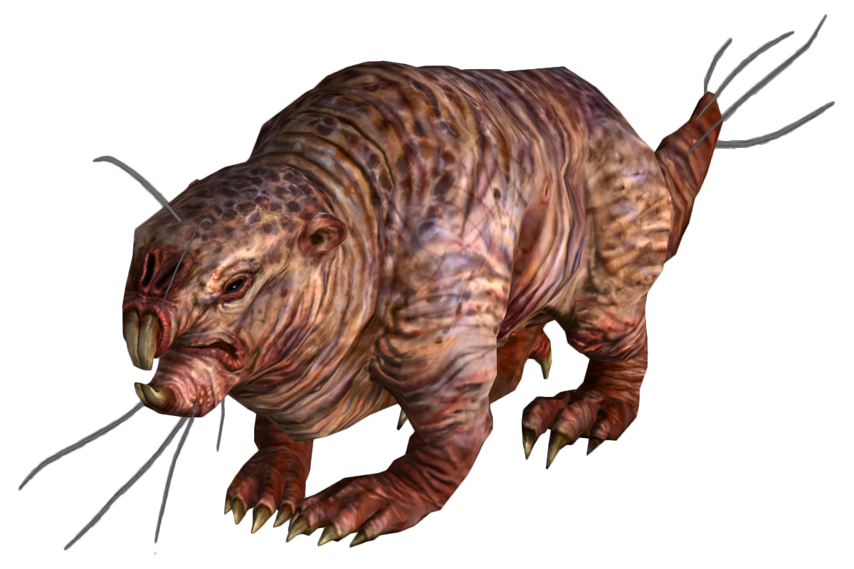 Radiated Mole Rat