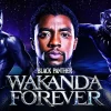 Black Panther: Wakanda Forever_1a