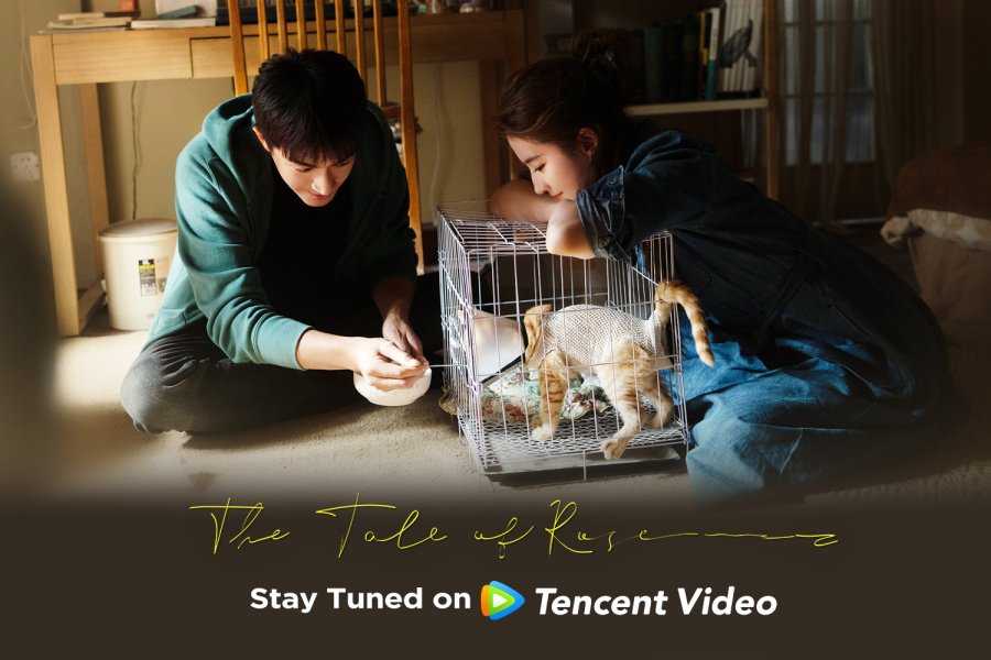 Jadwal Tayang The Tale of Rose Semua Episode di We TV
