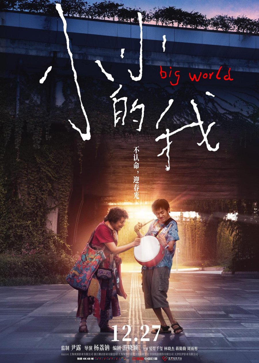Sinopsis Big World