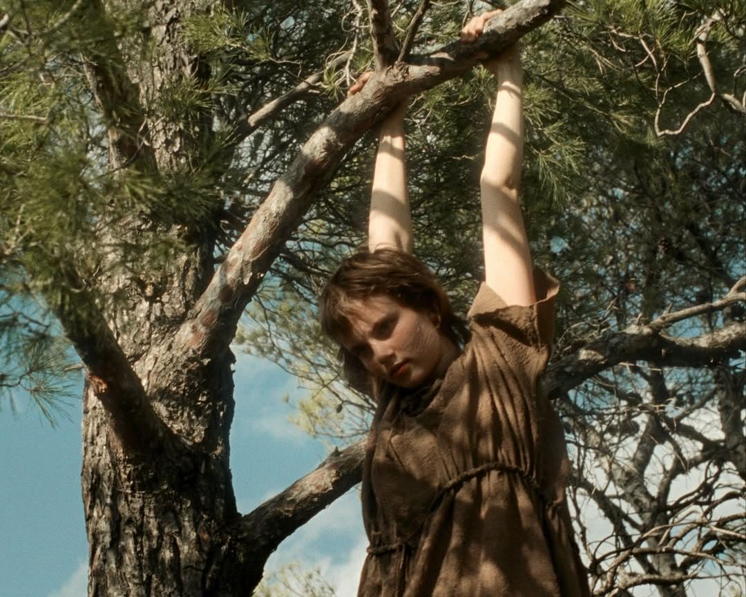 Review Carpenter's Son
