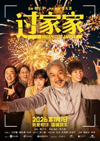 poster film unexpected family