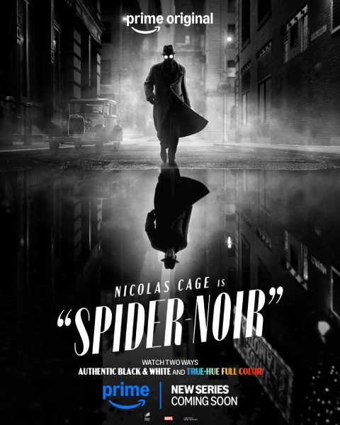 poster spider noir