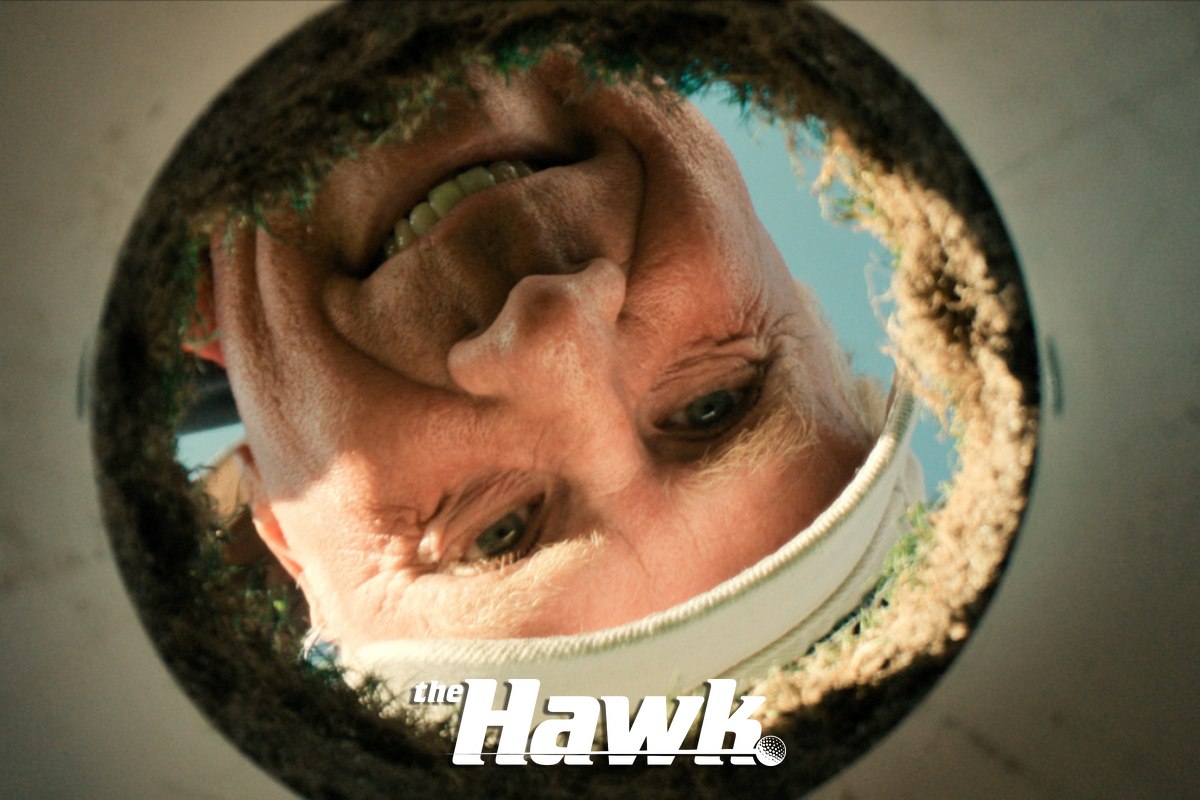 sinopsis the hawk