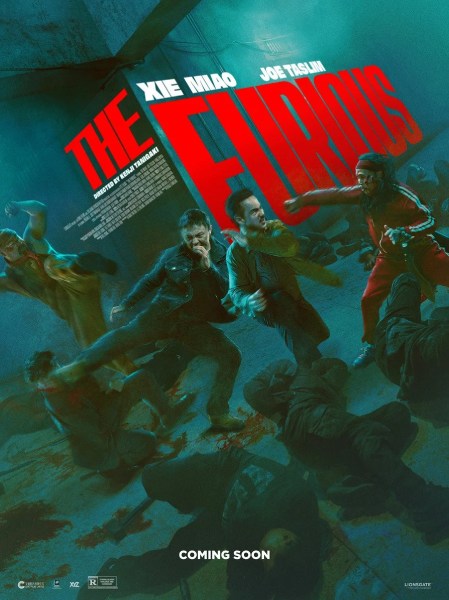 poster film The Furious