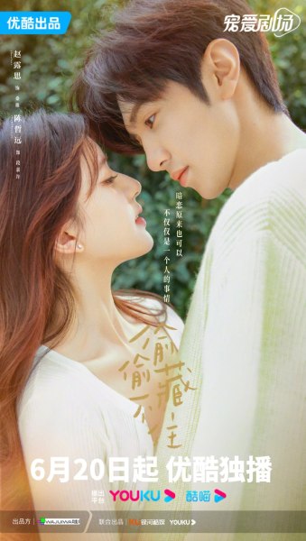 Drama China Hidden Love 2023